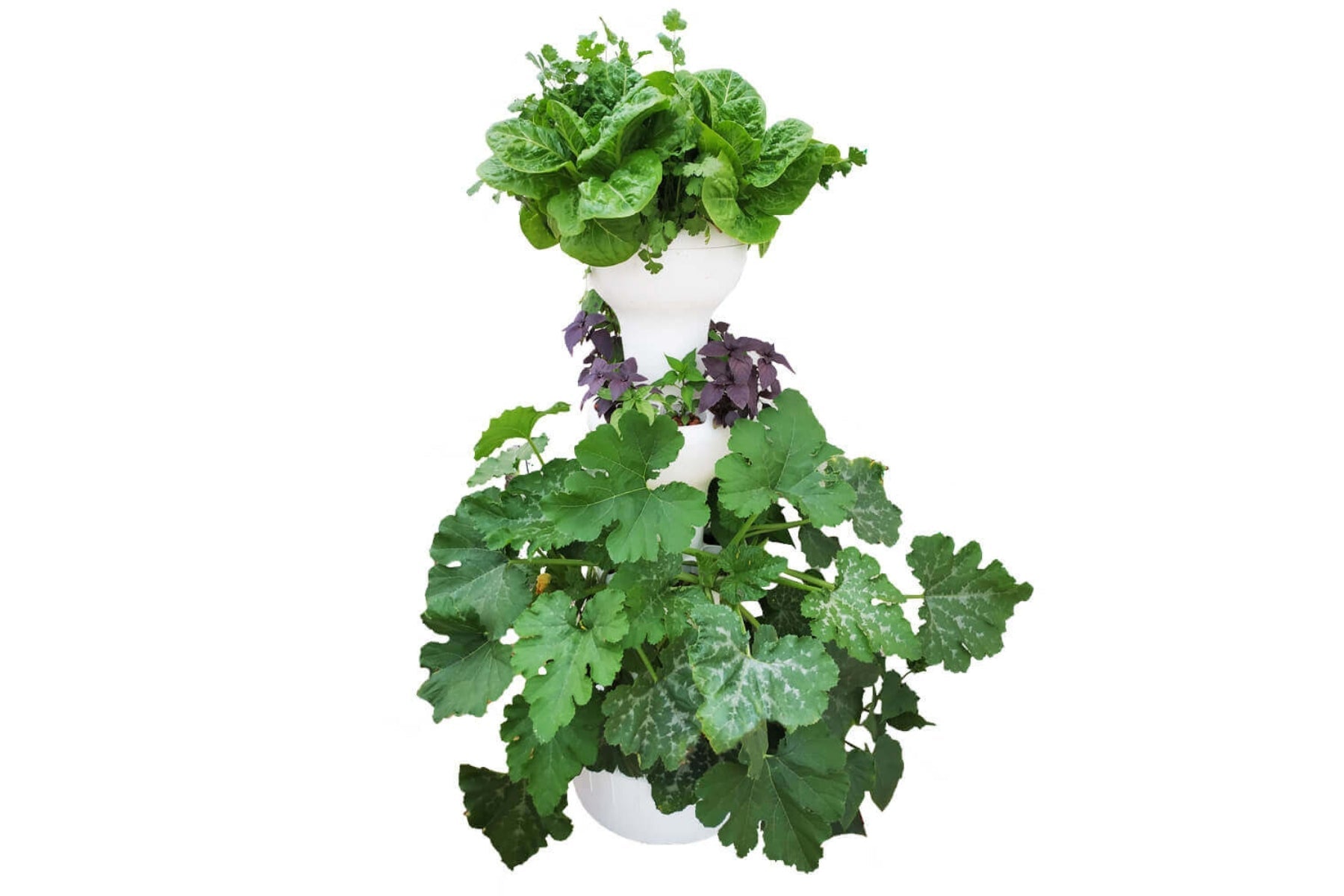 NatureTech - Airponic Fruit - Hydroponic Tower Garden System