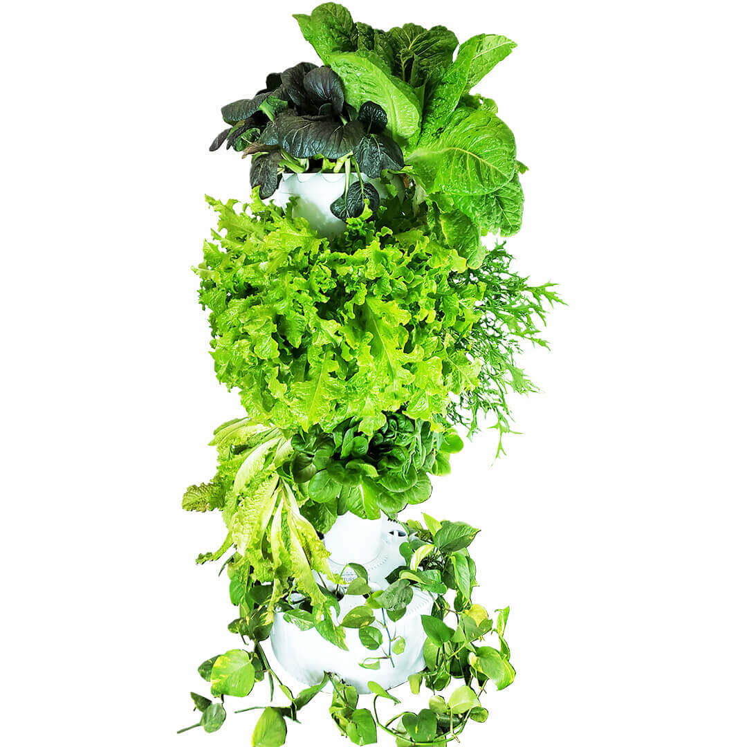 NatureTech - Airponic Fruit - Hydroponic Tower Garden System