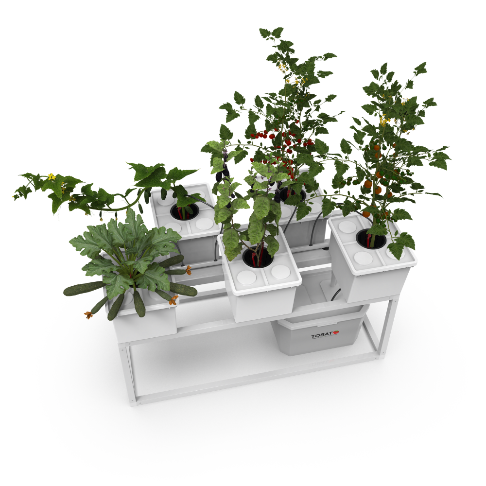 NatureTech - Tobato 5 – Dutch Bucket Hydroponic Growing System
