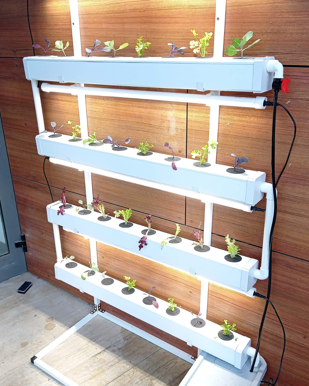 NatureTech - Wally 32 – Fixed Wall Hydroponic Gardening System