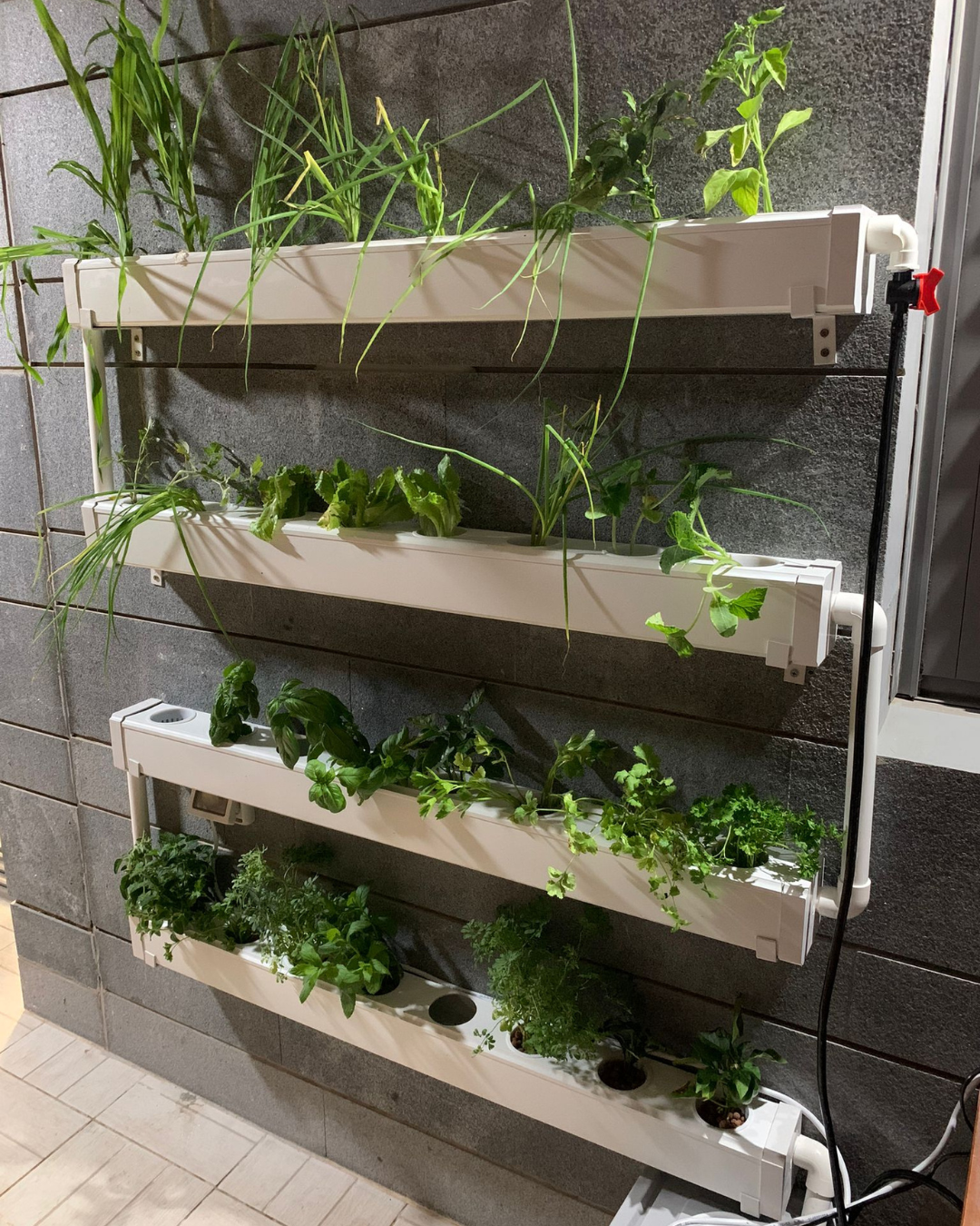 NatureTech - Wally 32 – Fixed Wall Hydroponic Gardening System