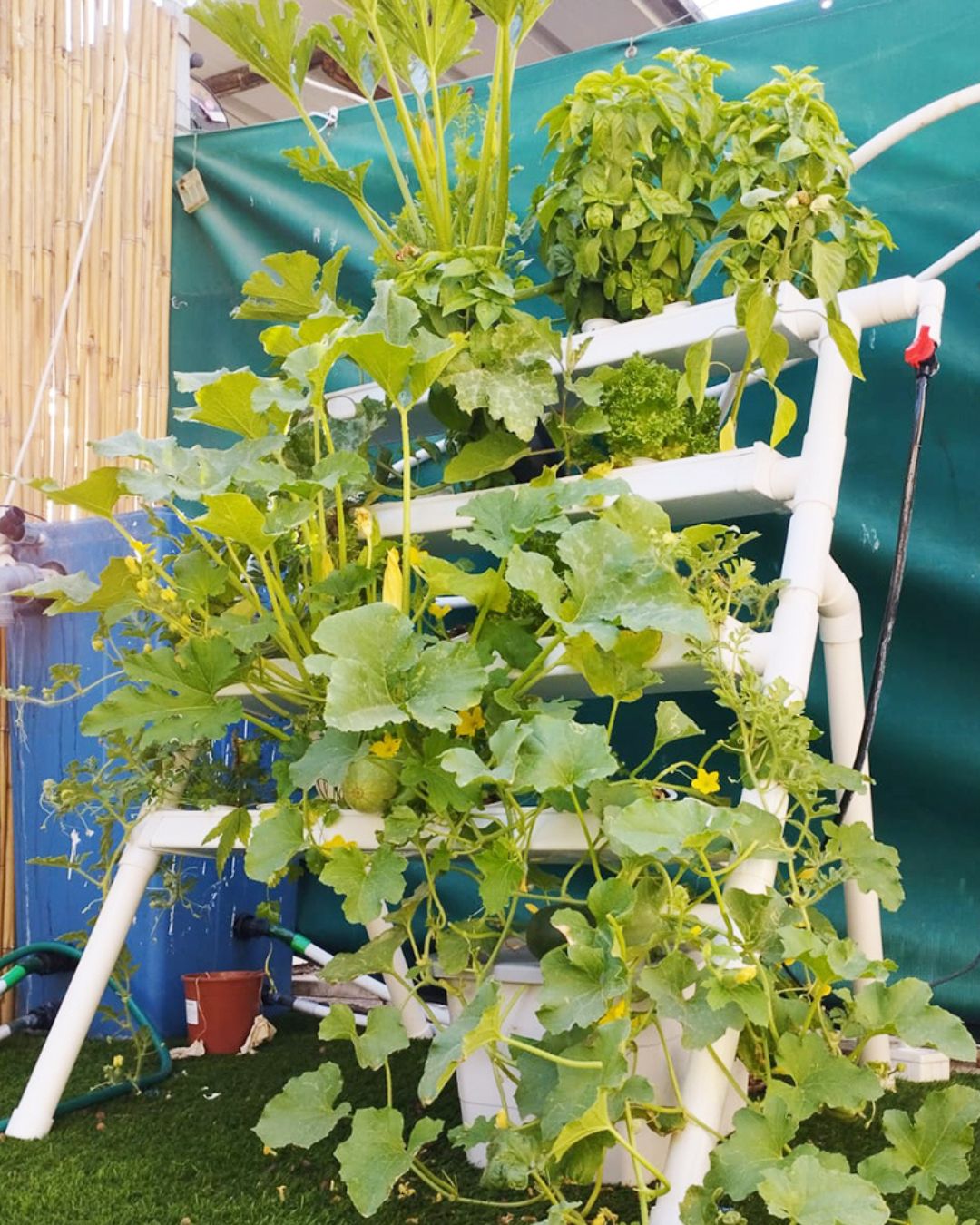 NatureTech - Homie 28 – Home Hydroponic Growing System