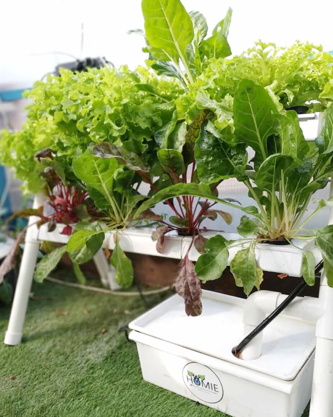 NatureTech - Homie 28 – Home Hydroponic Growing System