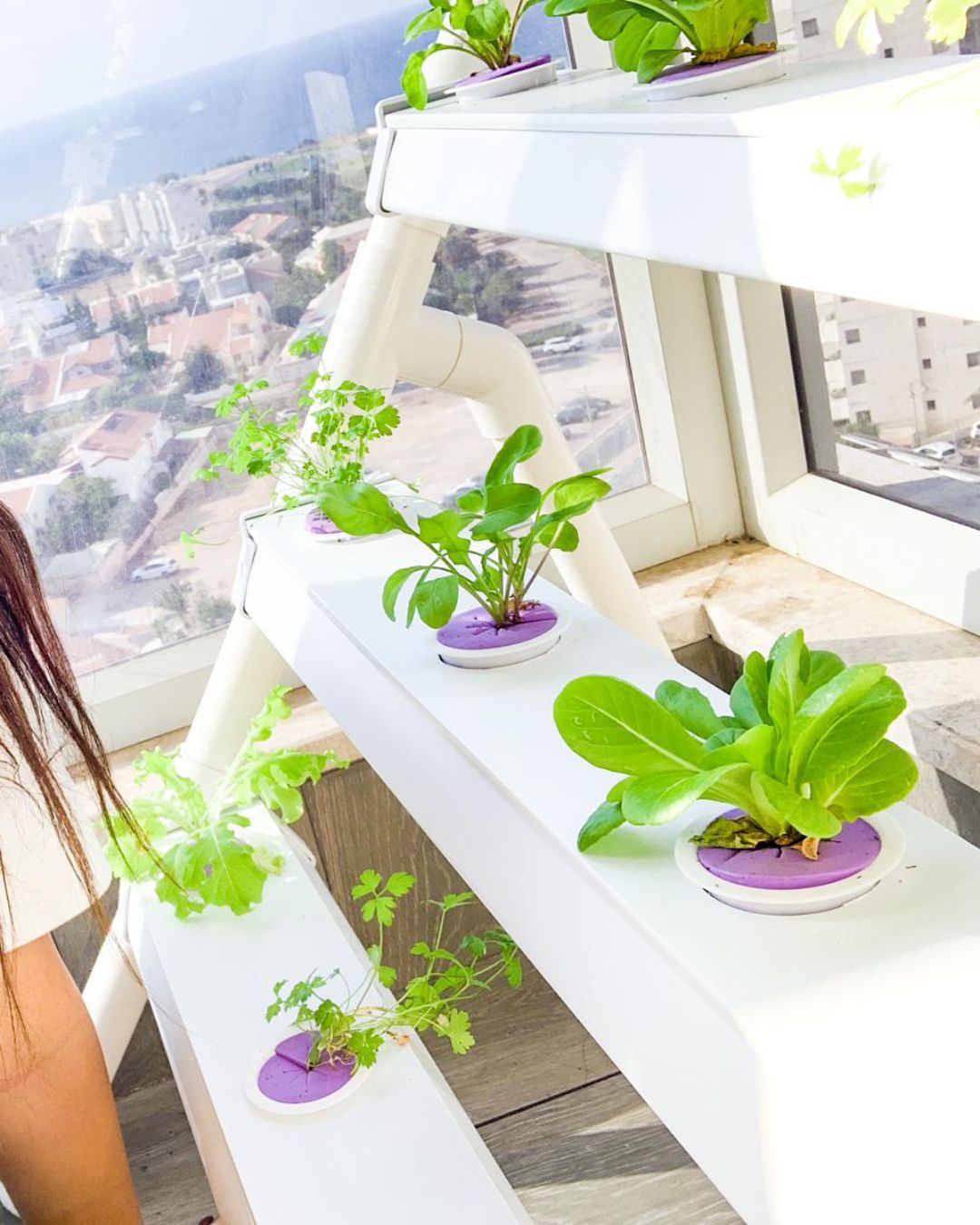 NatureTech - Homie 28 – Home Hydroponic Growing System