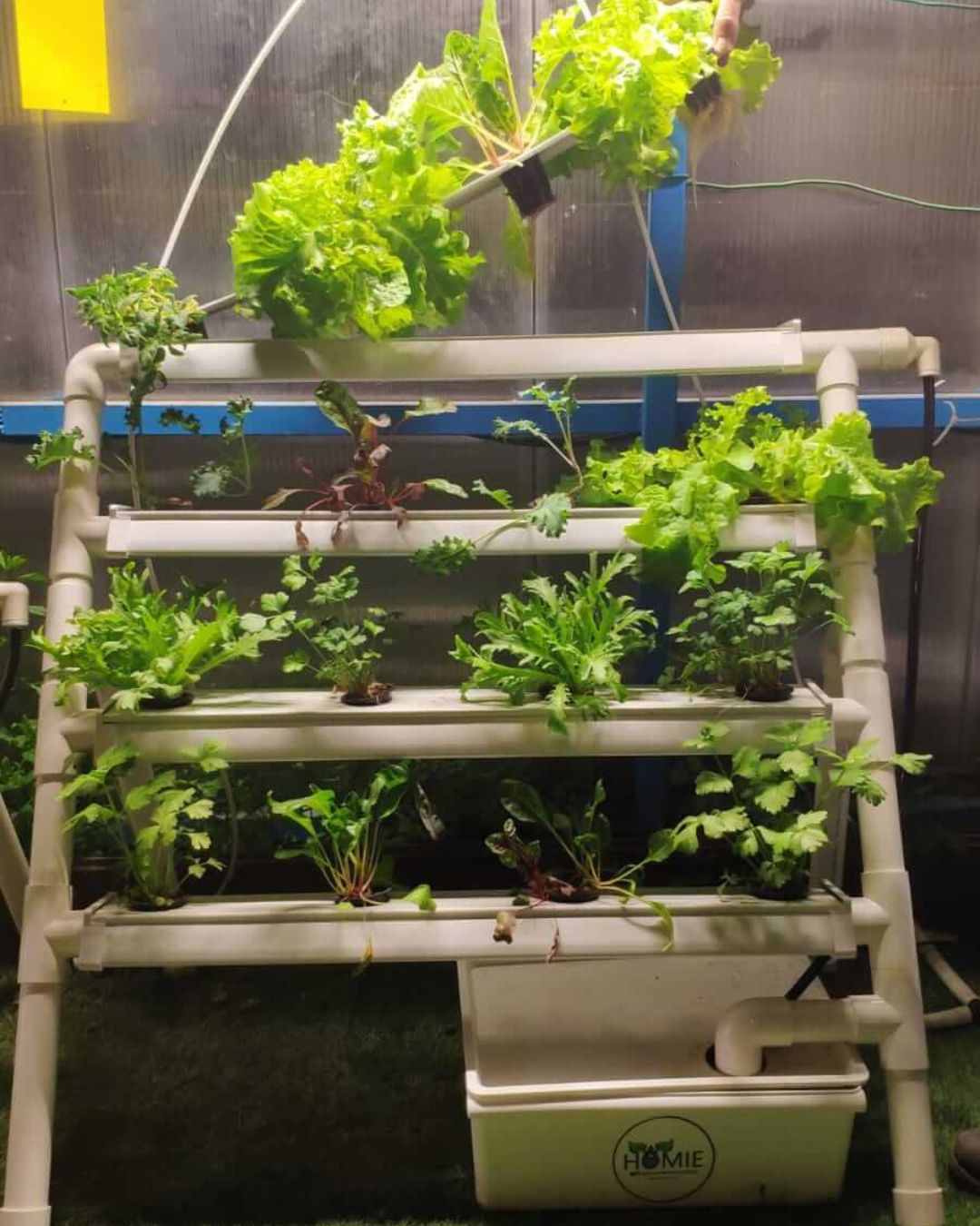 NatureTech - Homie 28 – Home Hydroponic Growing System