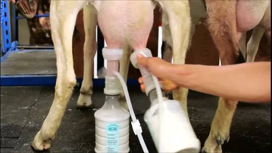 Udderly Ultimate EZ Bottle Milker