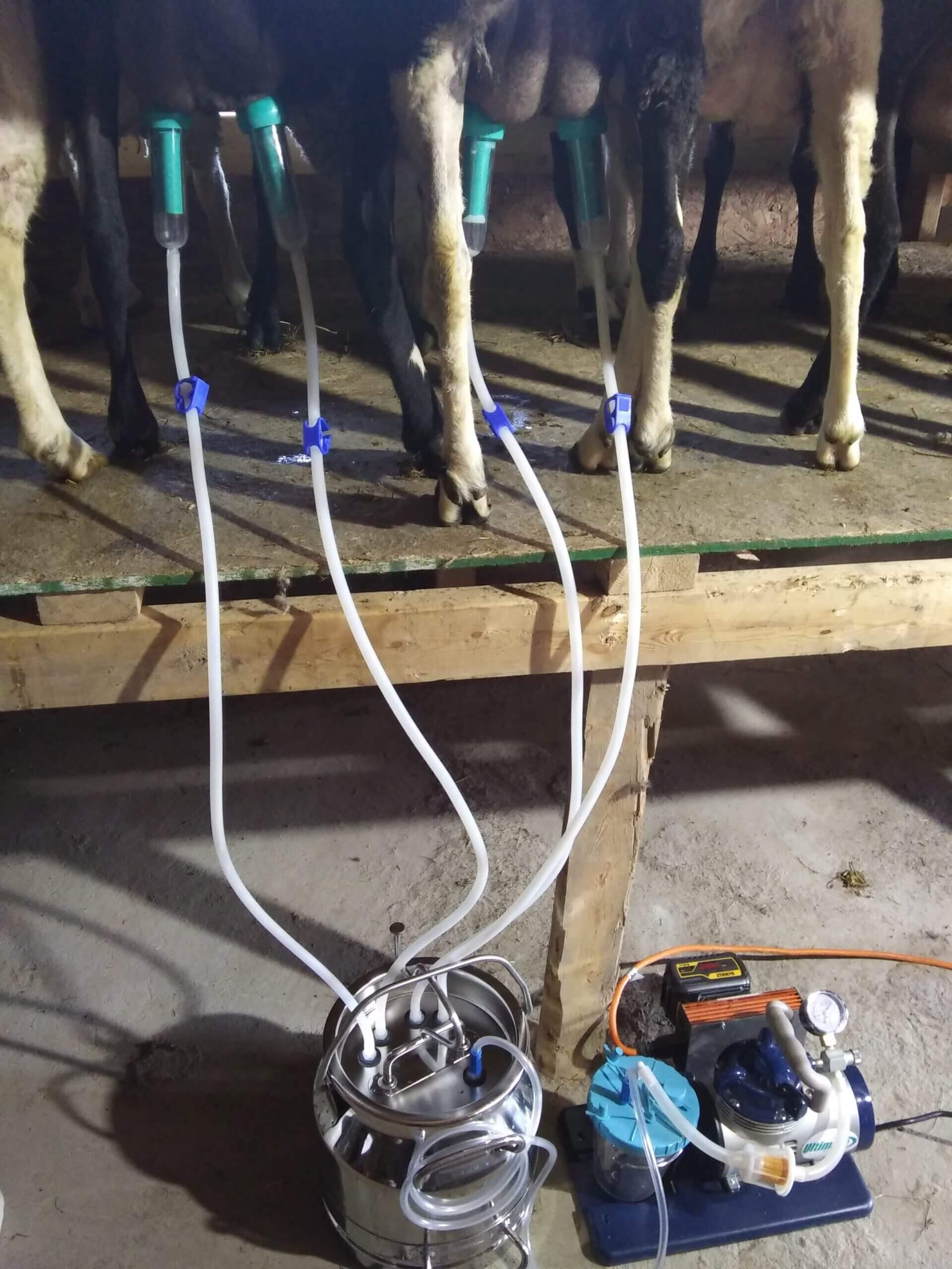 Udderly Ultimate EZ Bucket Milker