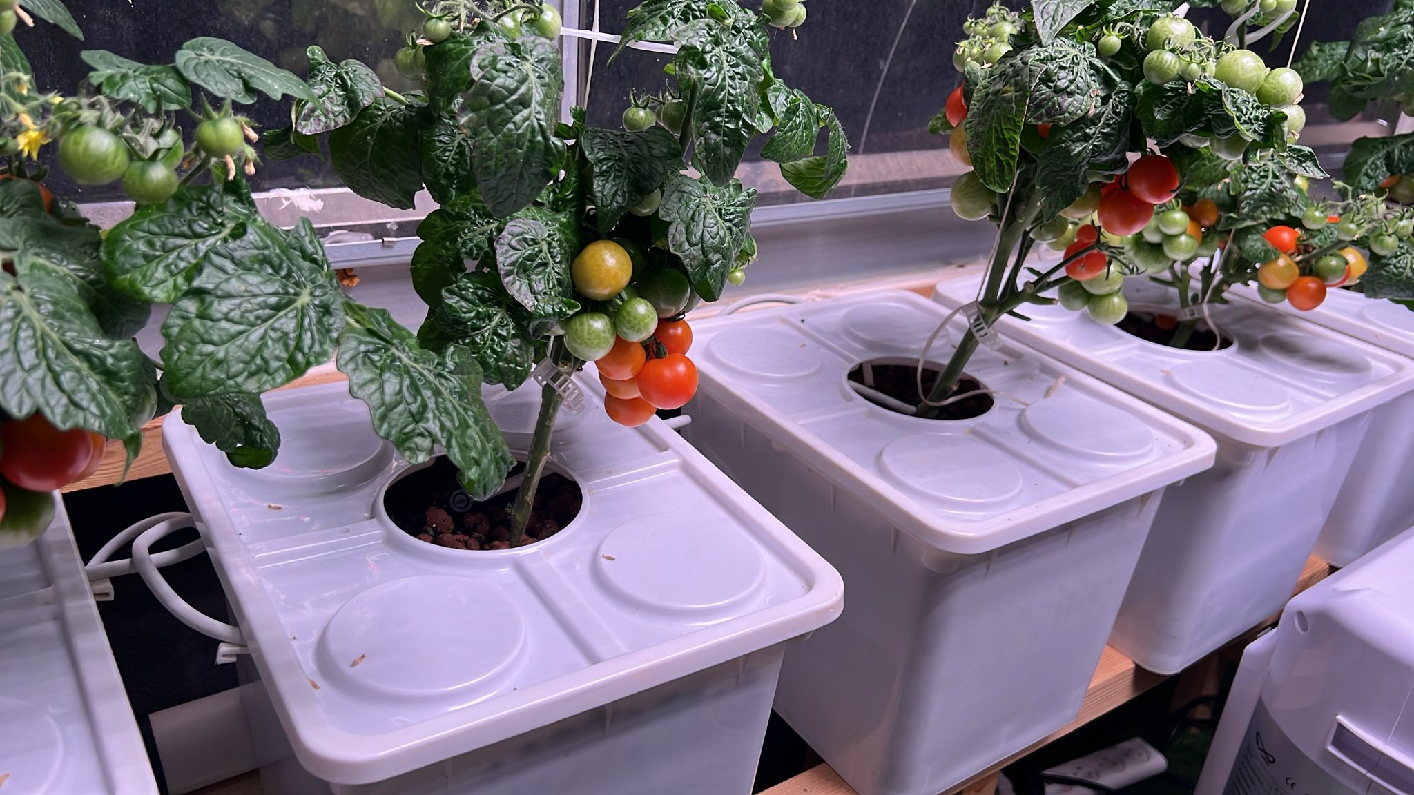 NatureTech - Tobato 5 – Dutch Bucket Hydroponic Growing System