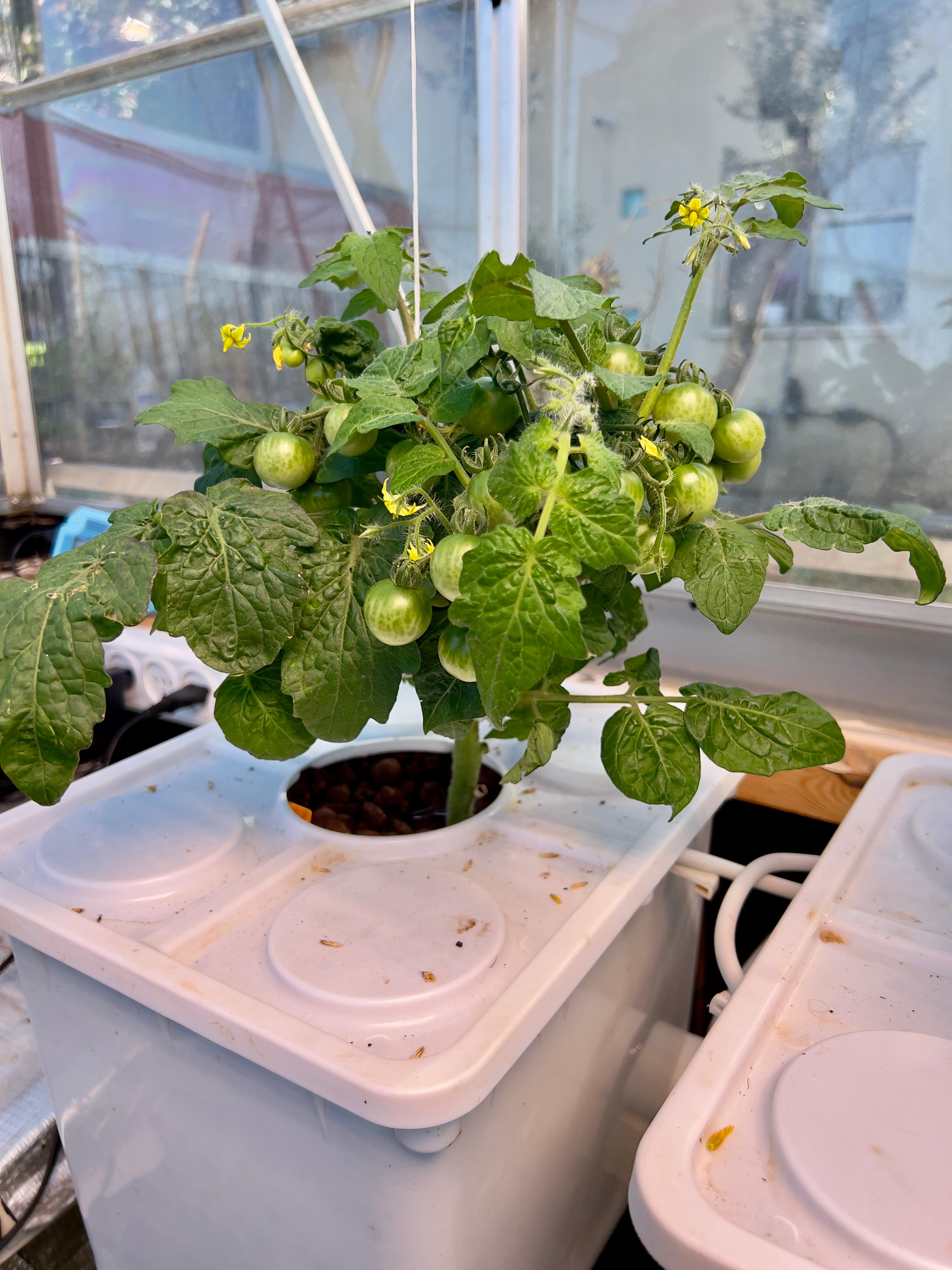 NatureTech - Tobato 5 – Dutch Bucket Hydroponic Growing System