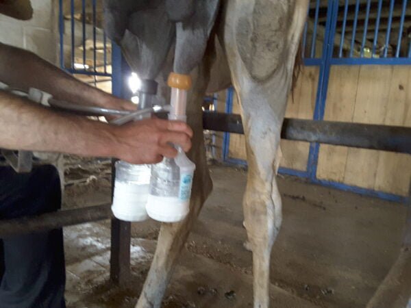 Udderly Ultimate EZ Bottle Milker