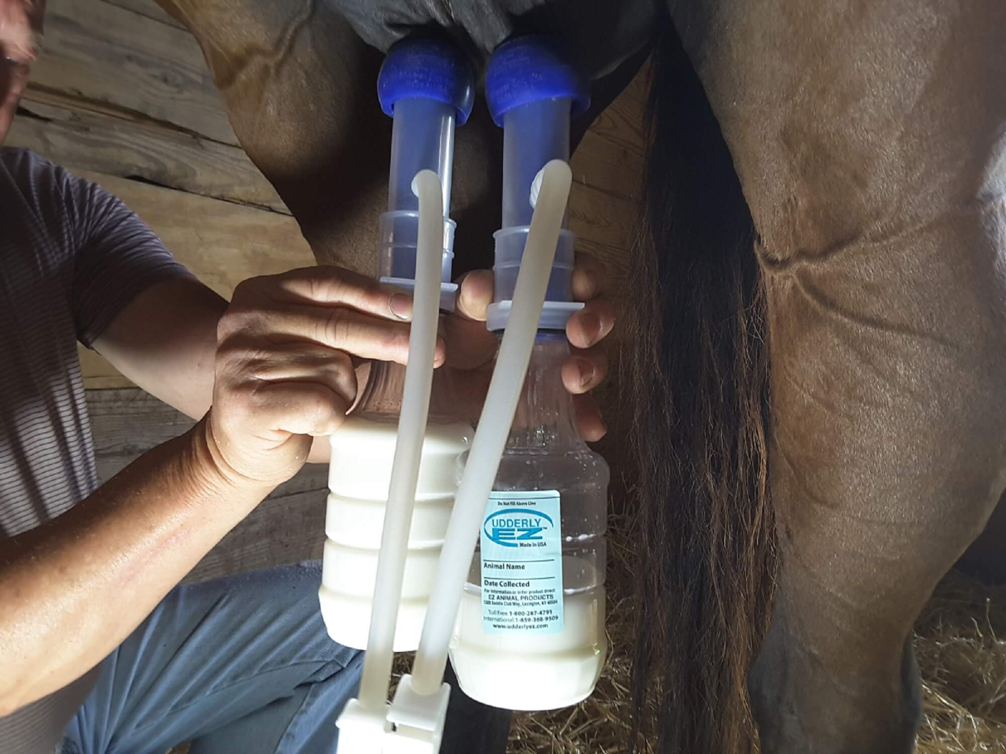 Udderly Ultimate EZ Equine Bottle Milker