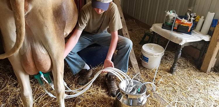 Udderly Ultimate EZ Bucket Milker
