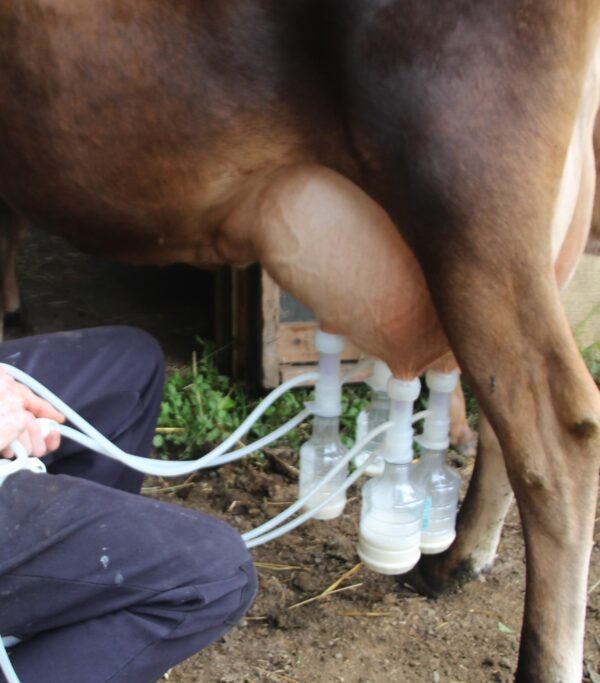 Udderly Ultimate EZ Bottle Milker