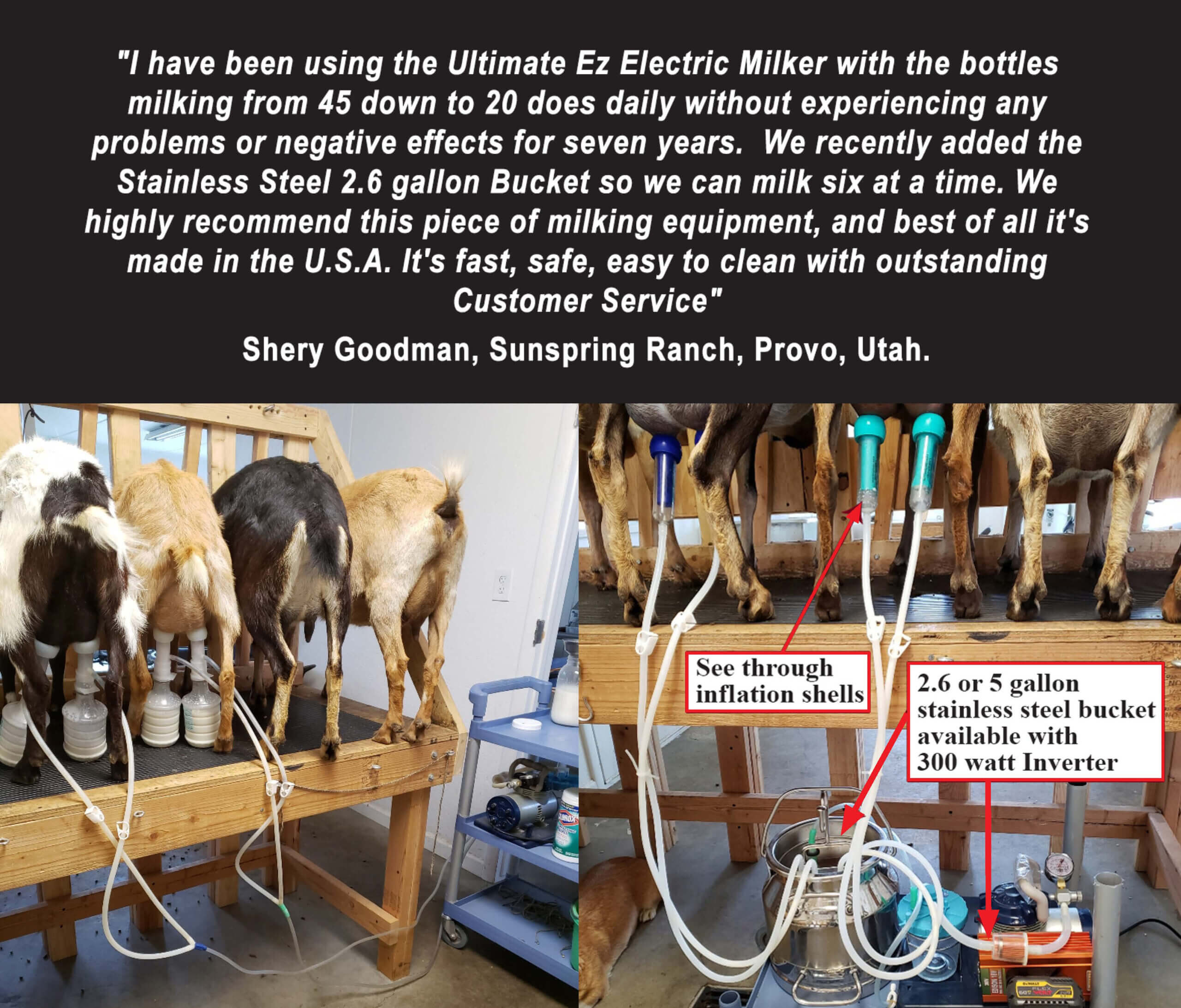 Udderly Ultimate EZ Bucket Milker
