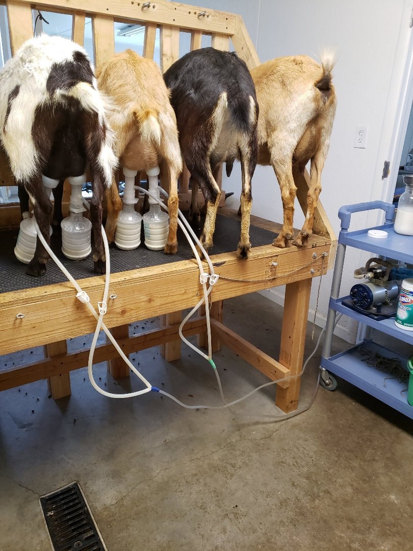 Udderly Ultimate EZ Bottle Milker