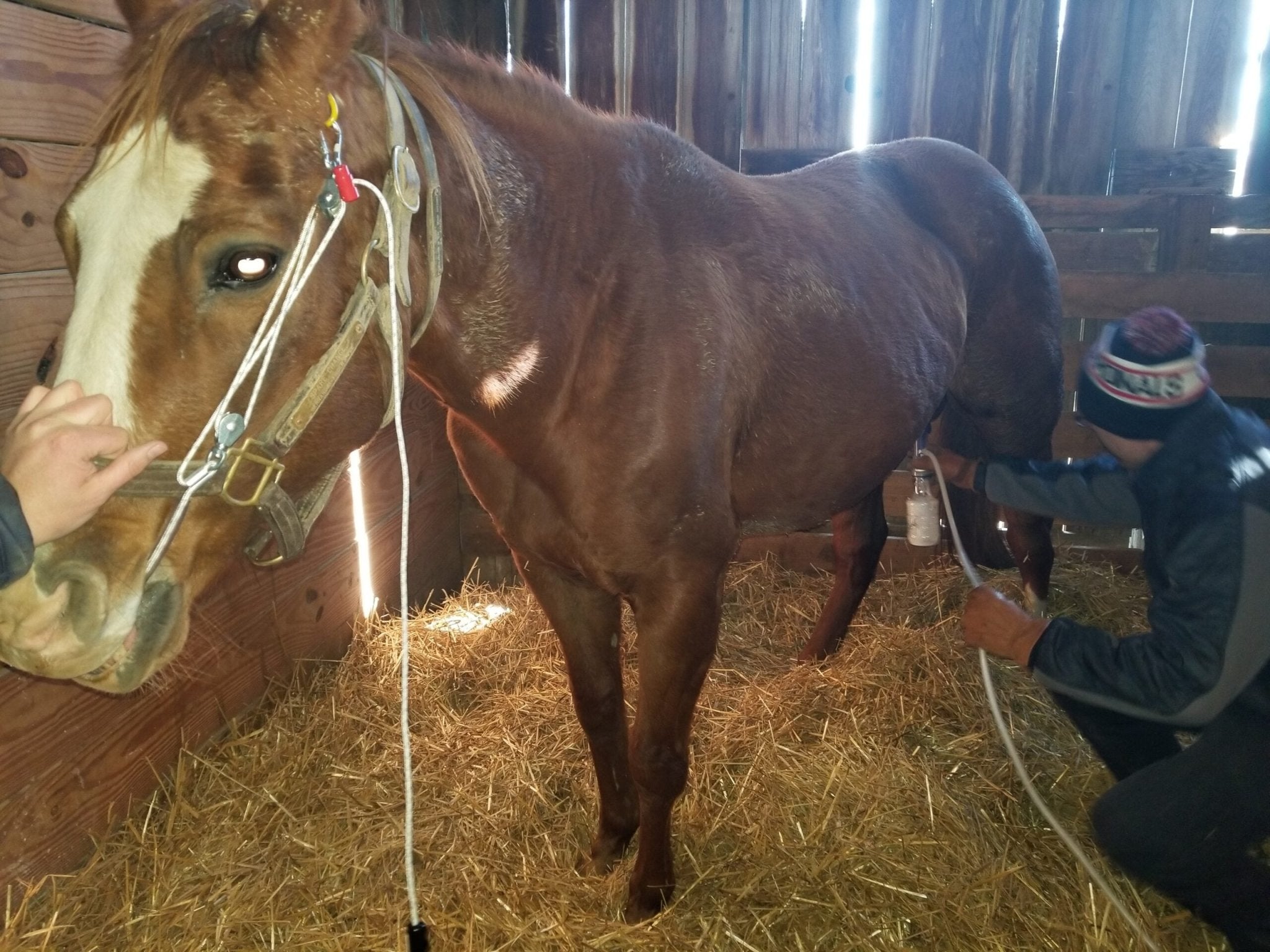 Udderly Ultimate EZ Bottle Milker