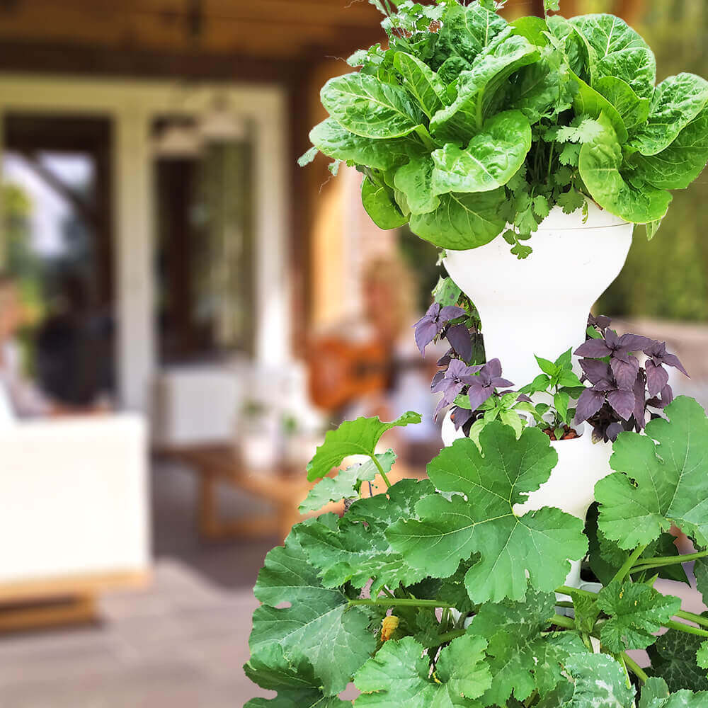 NatureTech - Airponic Fruit - Hydroponic Tower Garden System