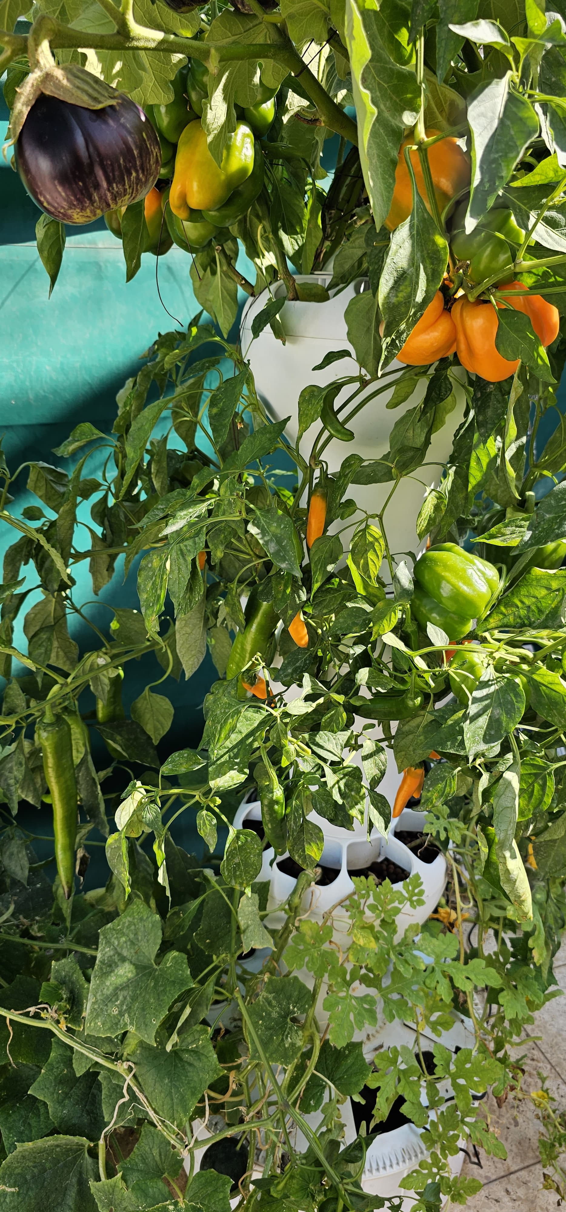 NatureTech - Airponic Fruit - Hydroponic Tower Garden System