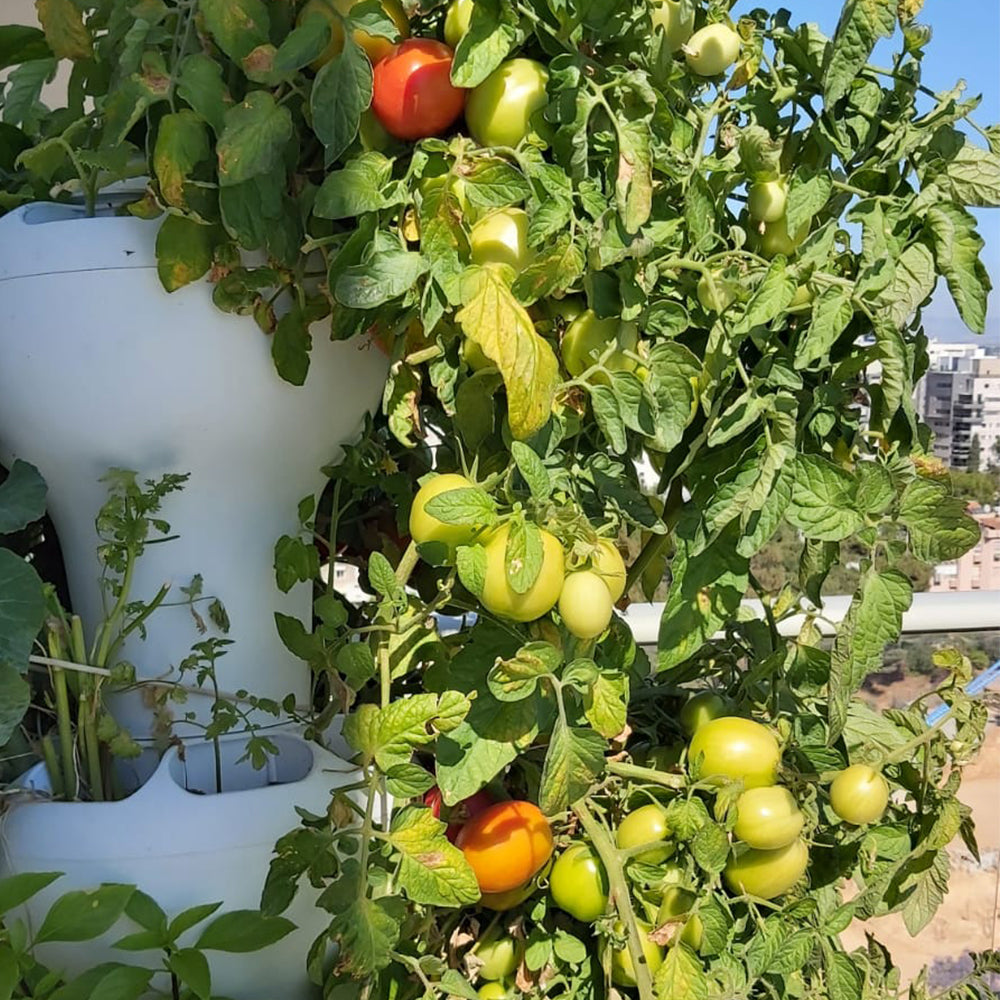 NatureTech - Airponic Fruit - Hydroponic Tower Garden System
